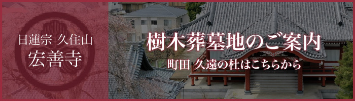 樹木葬墓地 久遠の杜