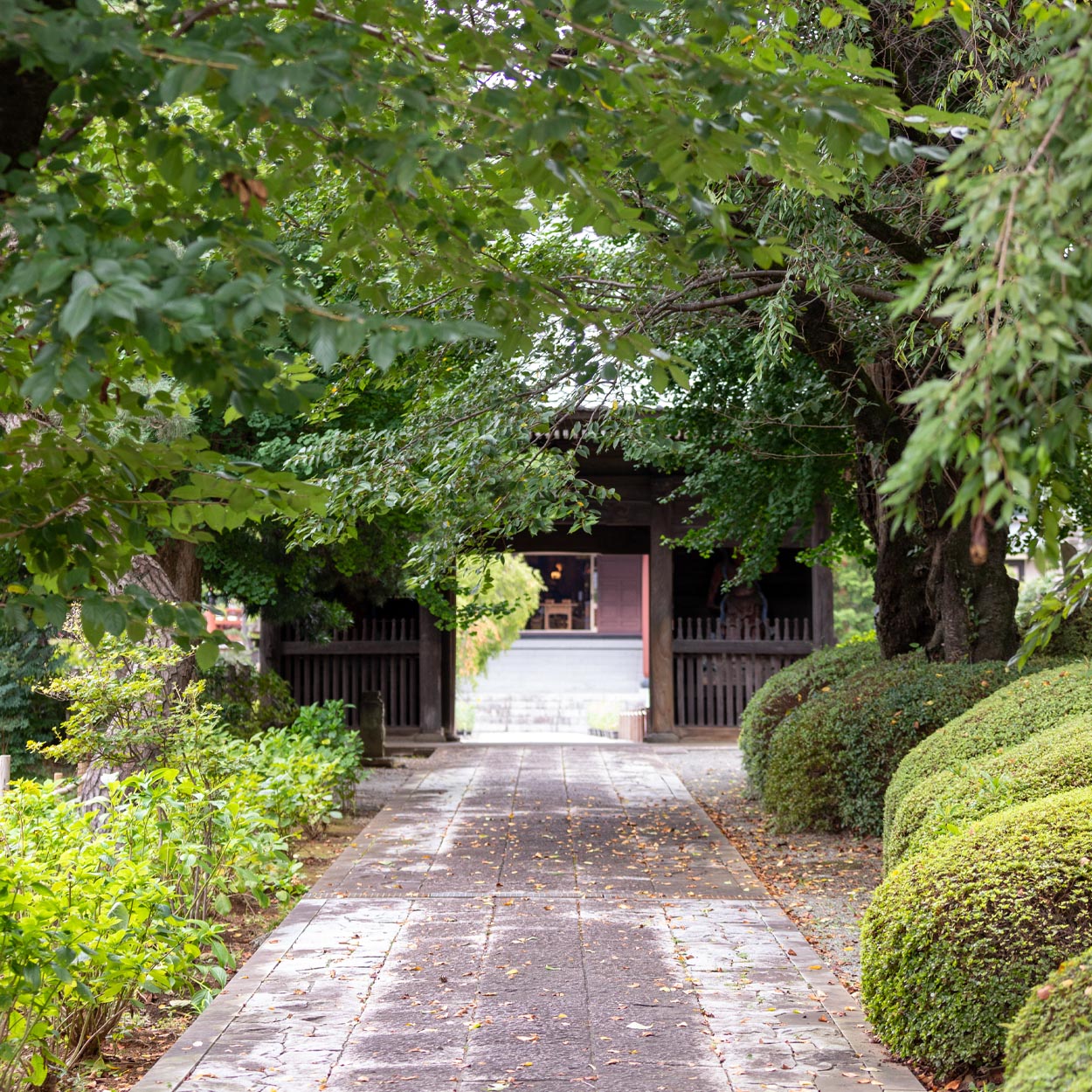 宏善寺について