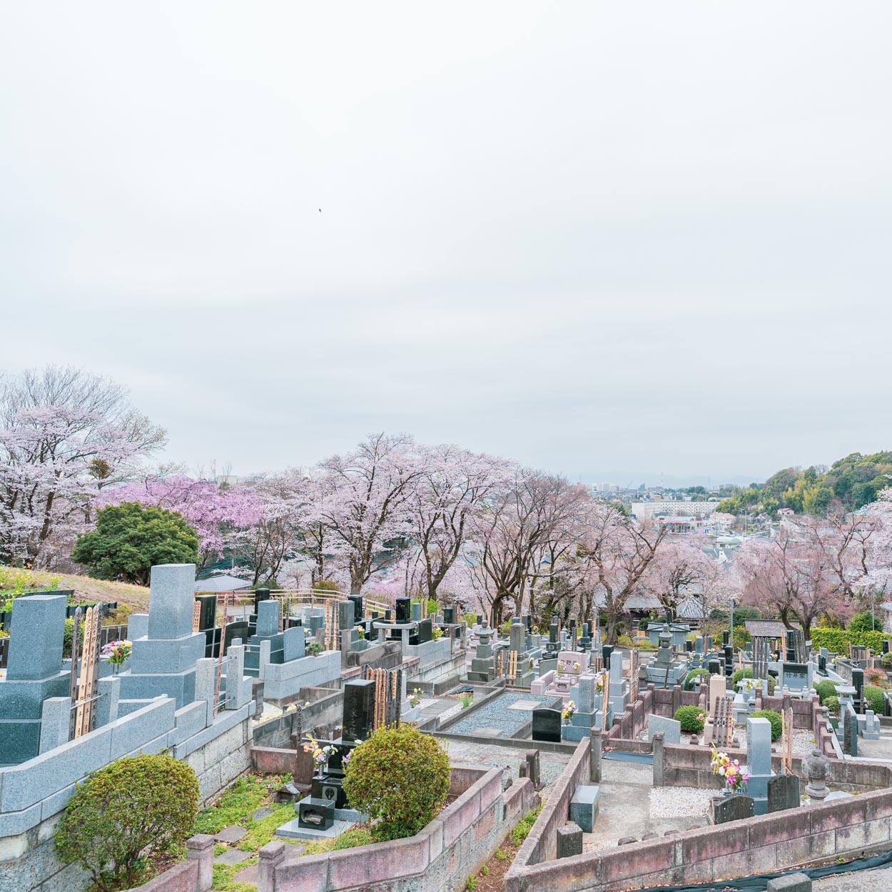 お墓・永代供養