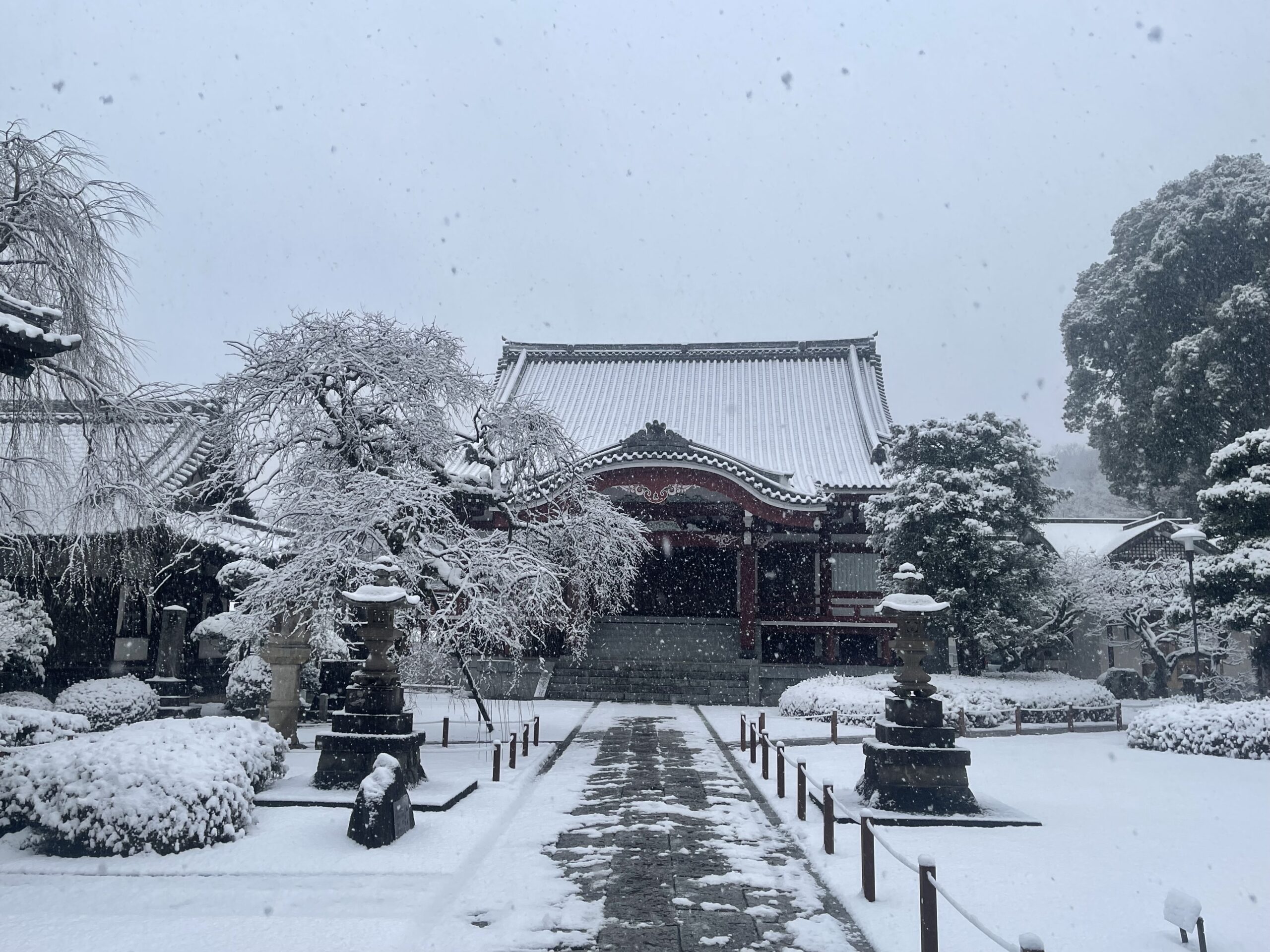 雪景色❅